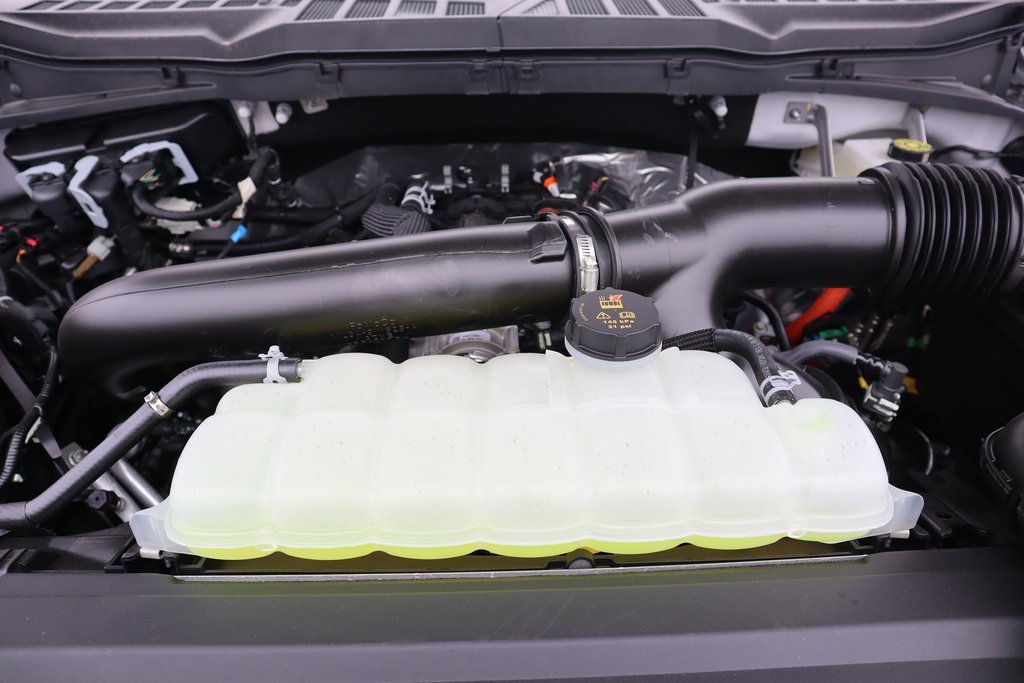 New 2025 Ford F150 XLT w/ Equipment Group 302A MID image 21