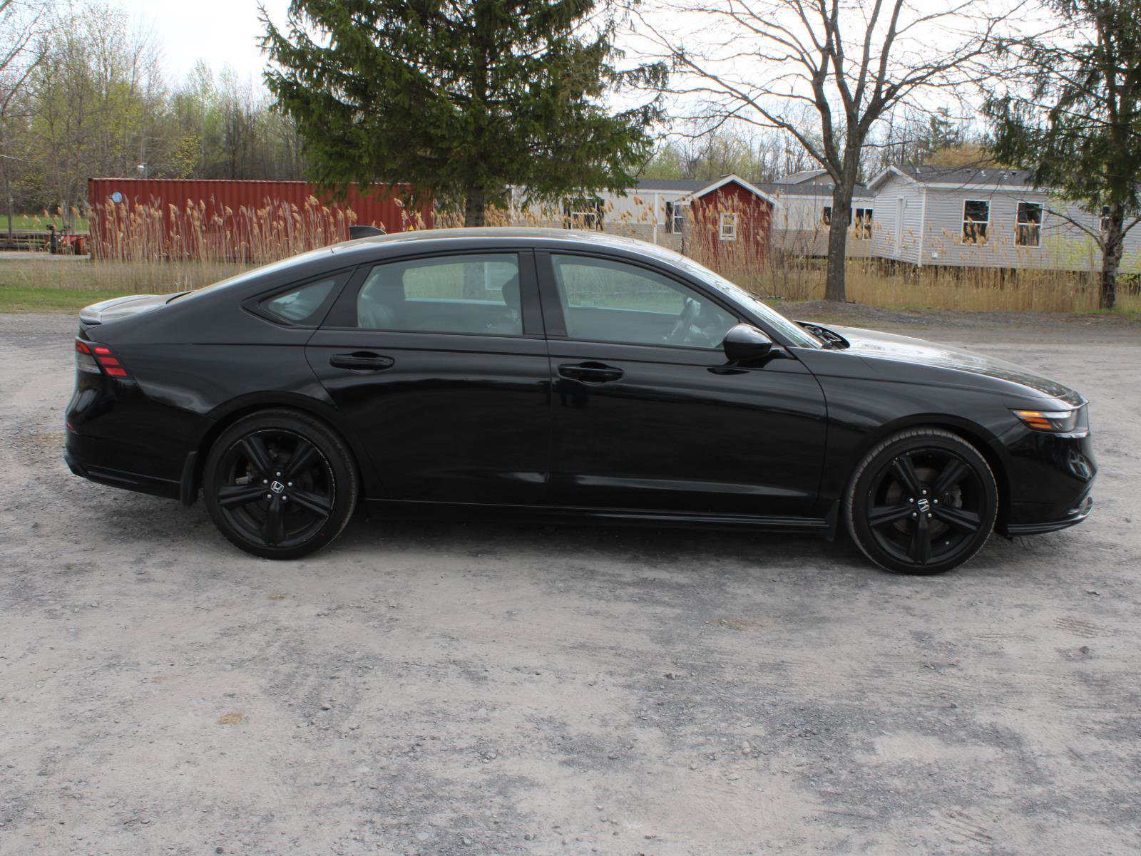Used 2024 Honda Accord Sport image 4