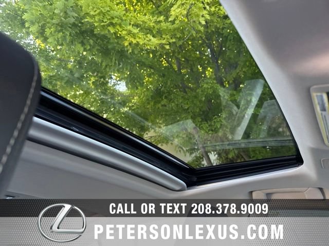 Used 2023 Lexus ES 250 w/ Premium Package AWD/4WD image 14