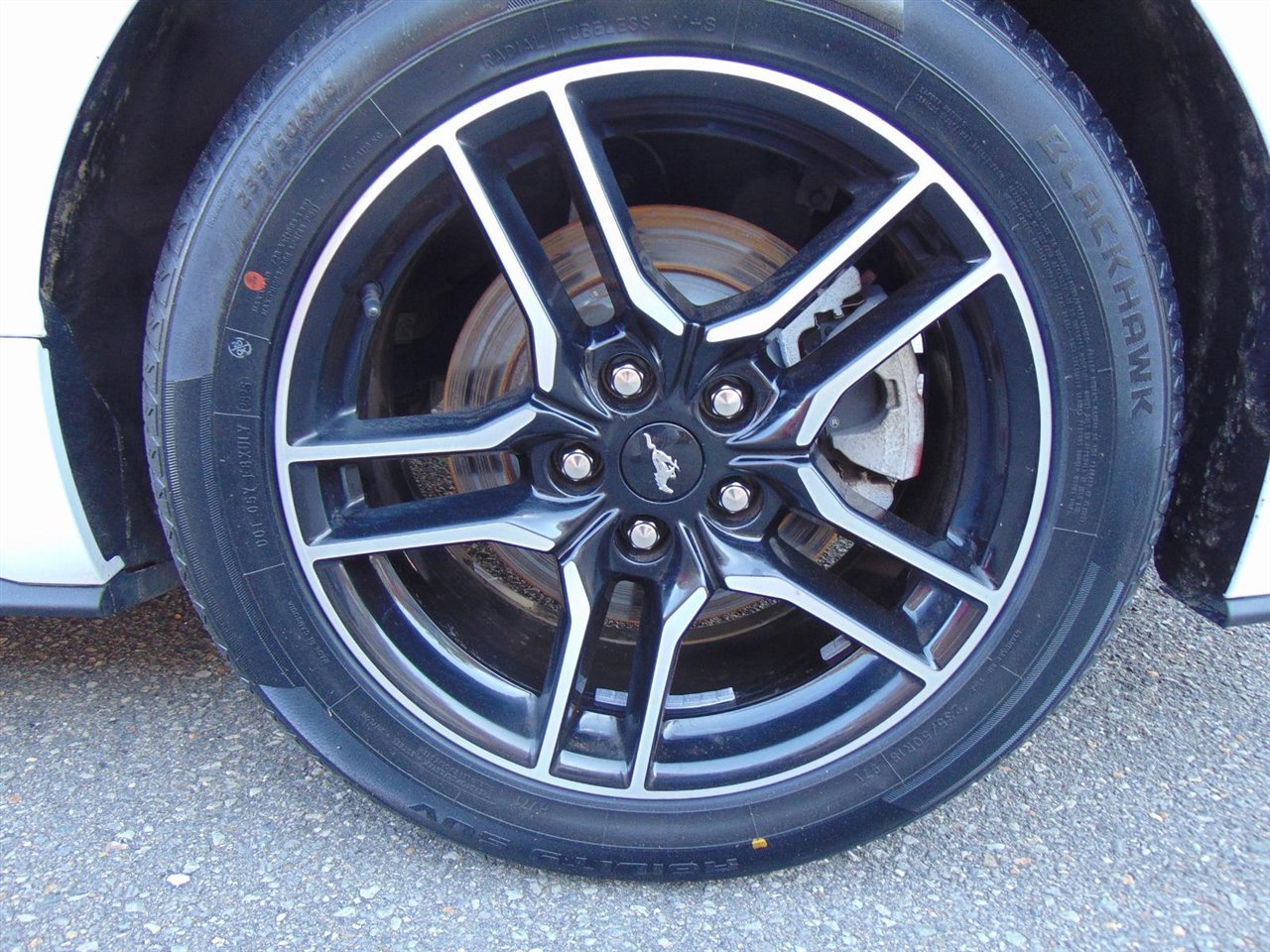 Used 2021 Ford Mustang EcoBoost w/ Equipment Group 101A image 9