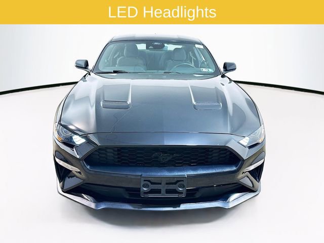 Certified 2023 Ford Mustang Coupe w/ Equipment Group 101A RWD image 2