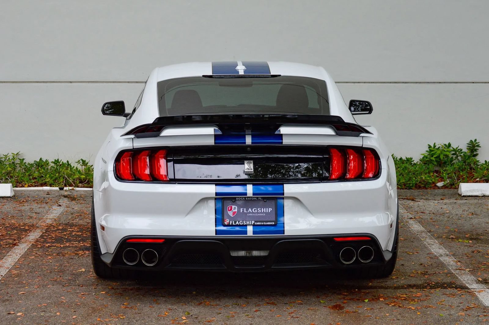 Used 2018 Ford Mustang Shelby GT350 w/ Convenience Package RWD image 10