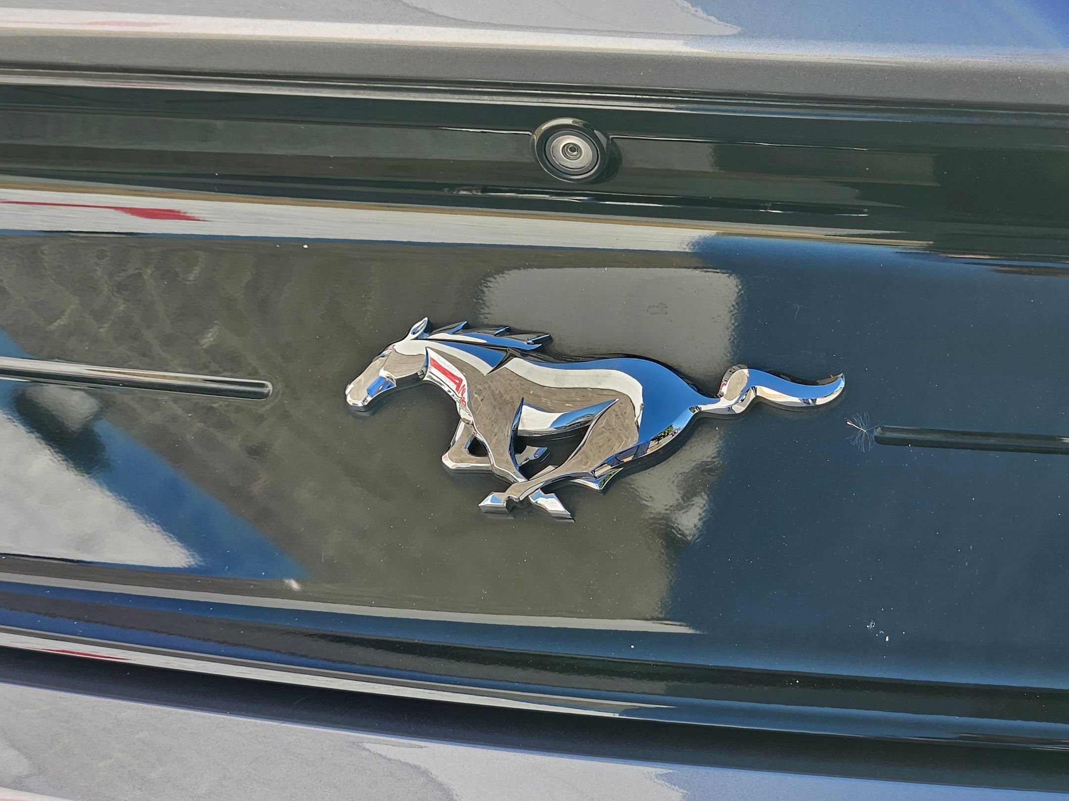 Used 2022 Ford Mustang Coupe w/ Equipment Group 101A image 28