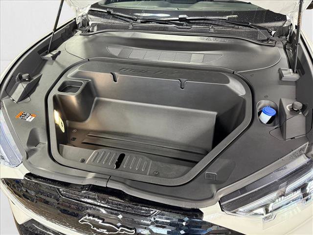 New 2025 Ford Mustang Mach-E GT image 16