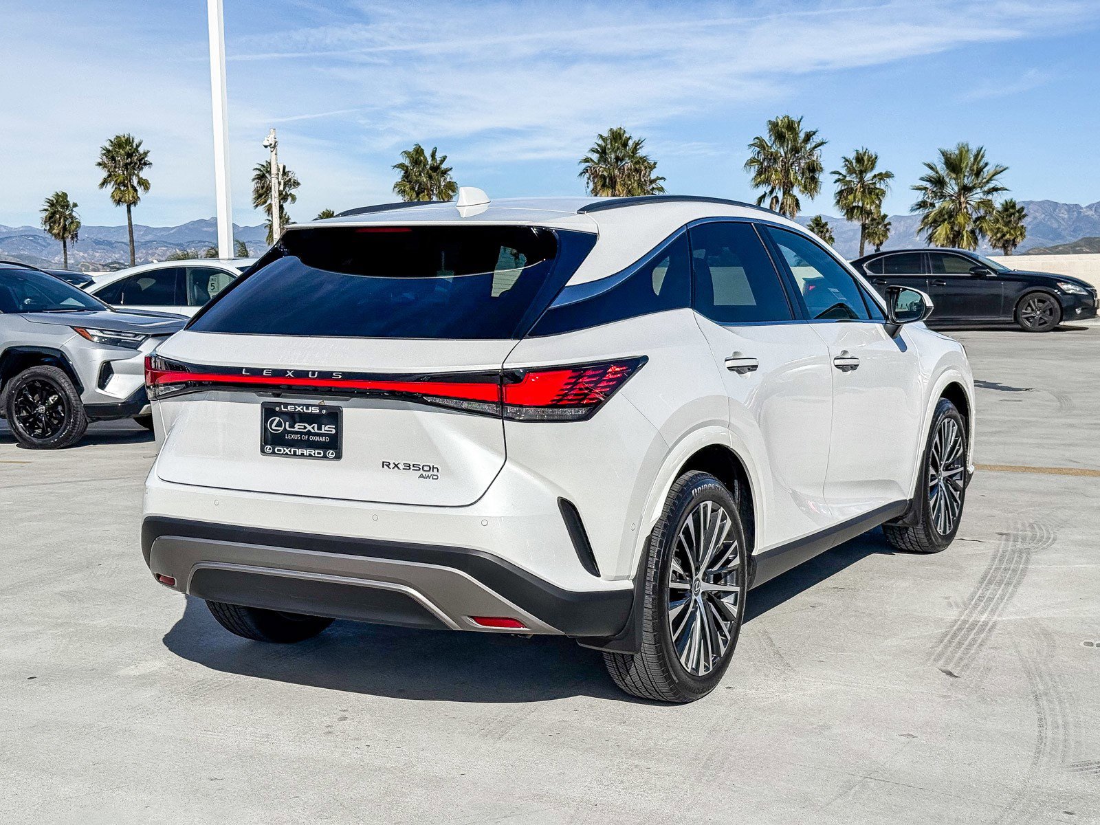 Used 2025 Lexus RX 350 image 7