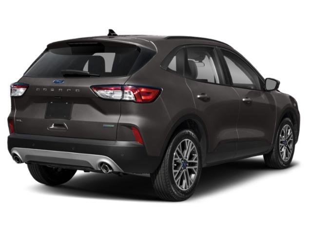 Used 2020 Ford Escape SEL AWD/4WD image 2