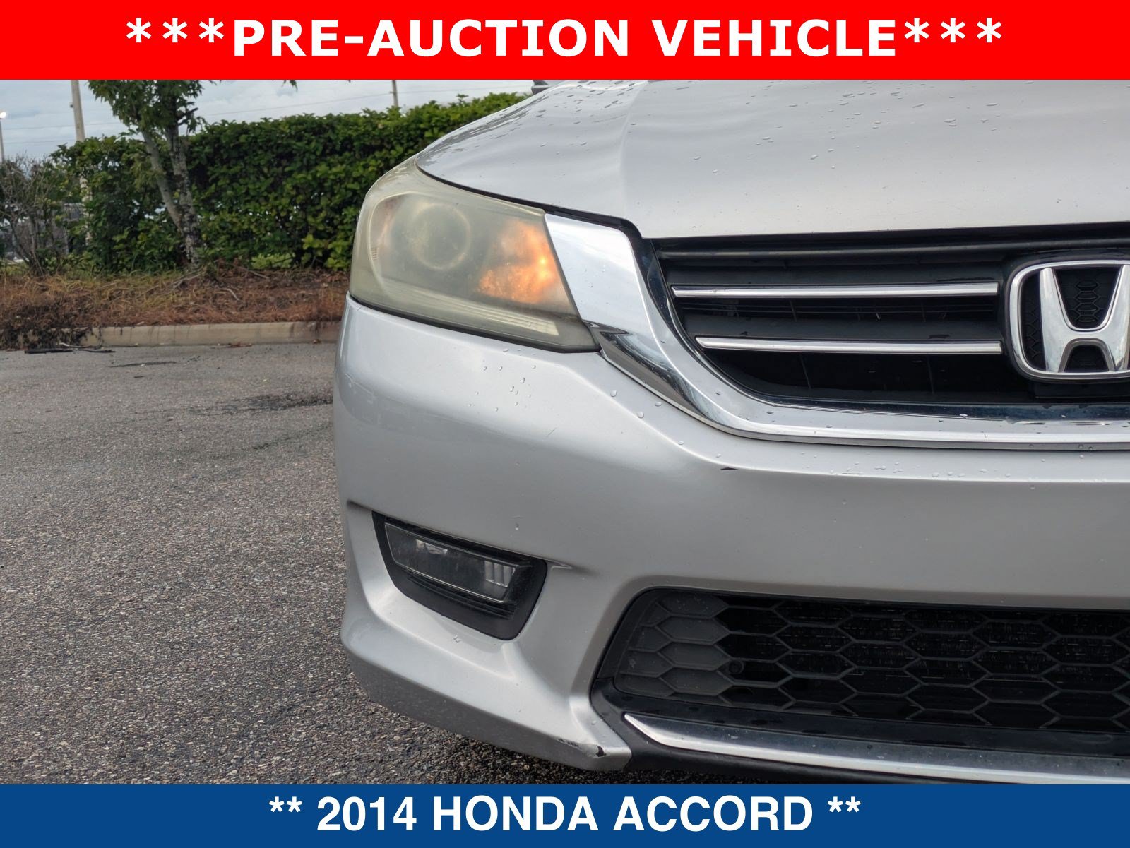 Used 2014 Honda Accord EX image 10