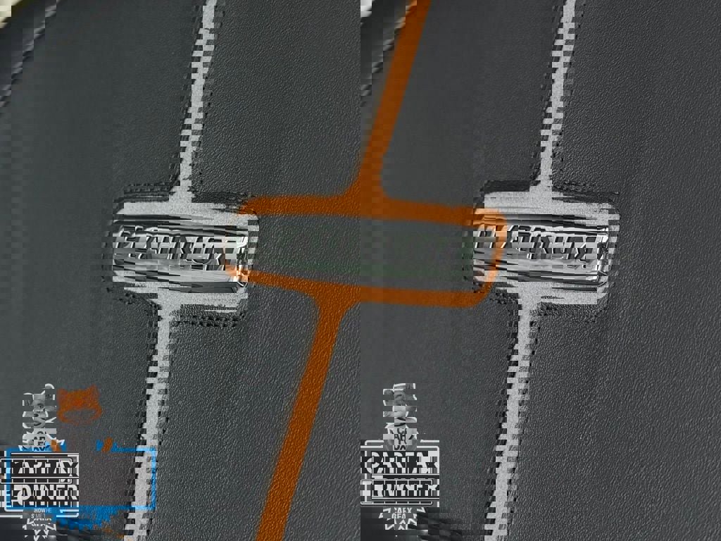 Used 2024 Ford F250 Platinum image 19