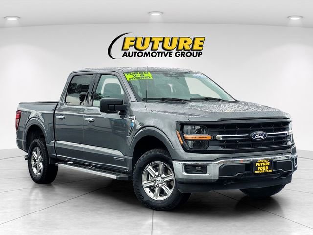 Used 2025 Ford F150 XLT w/ Equipment Group 301A Standard AWD/4WD image 1