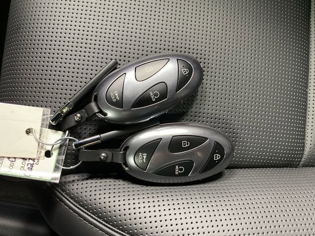 New 2026 Hyundai Palisade Calligraphy image 28