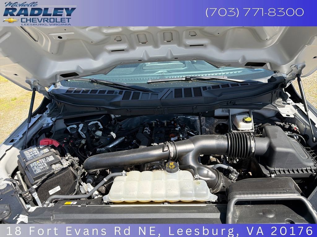 Used 2025 Ford F150 XLT w/ Equipment Group 301A Standard AWD/4WD image 14