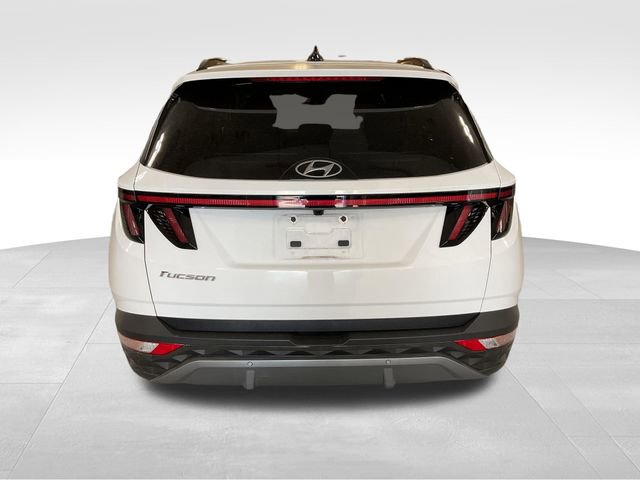 Used 2024 Hyundai Tucson Limited image 6