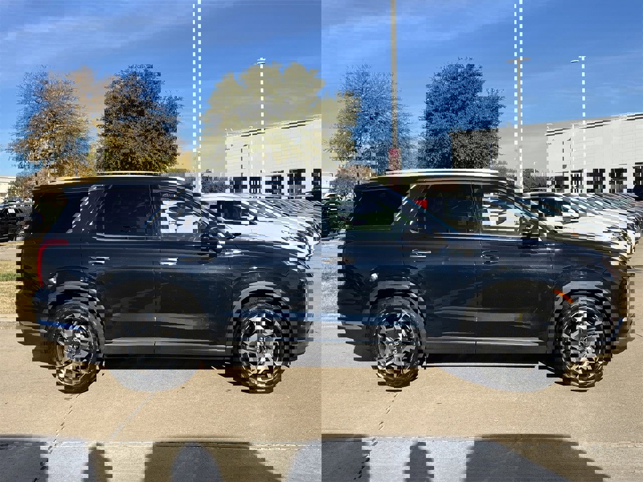 Used 2024 Hyundai Palisade Limited image 3