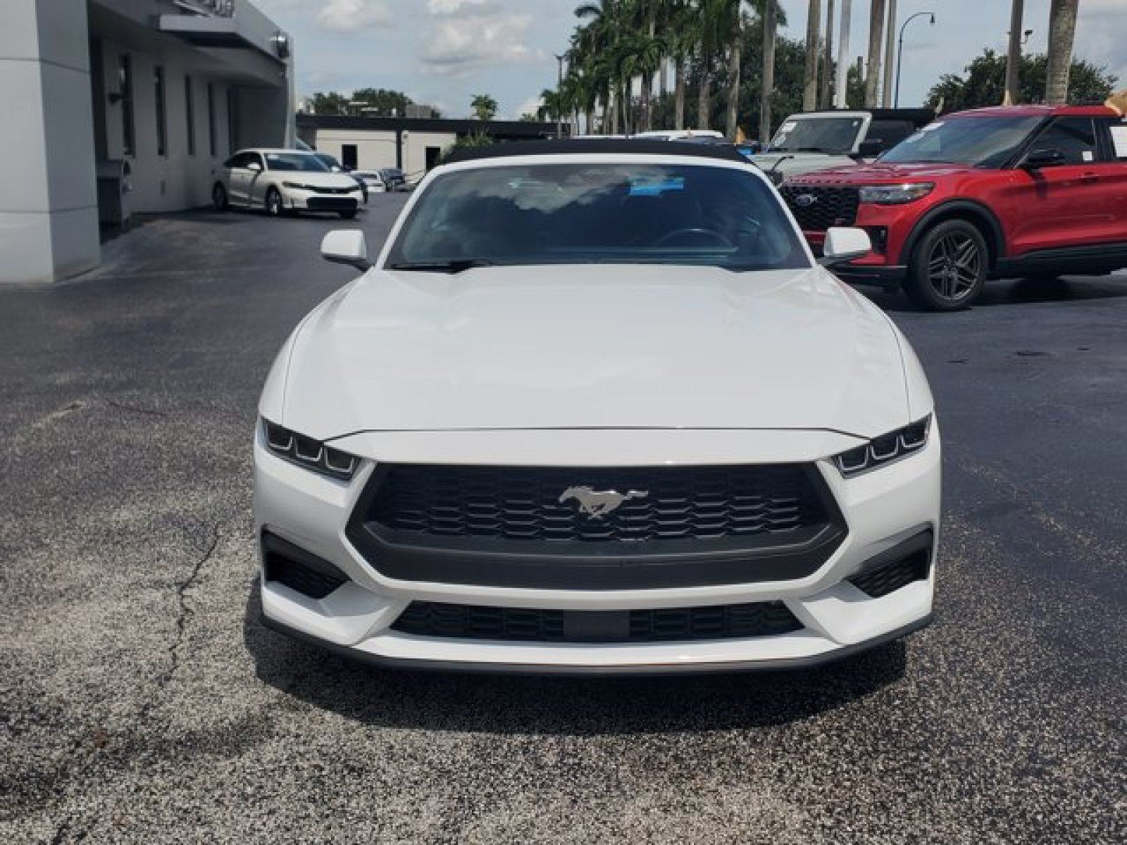 Used 2024 Ford Mustang Premium RWD image 2