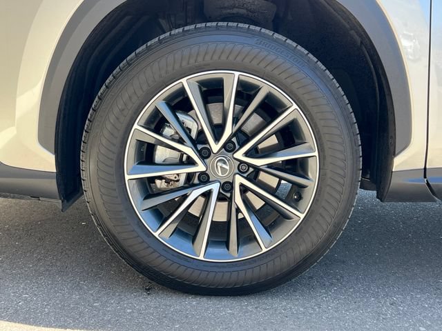 Used 2025 Lexus NX 350h AWD w/ Cold Area Package image 11