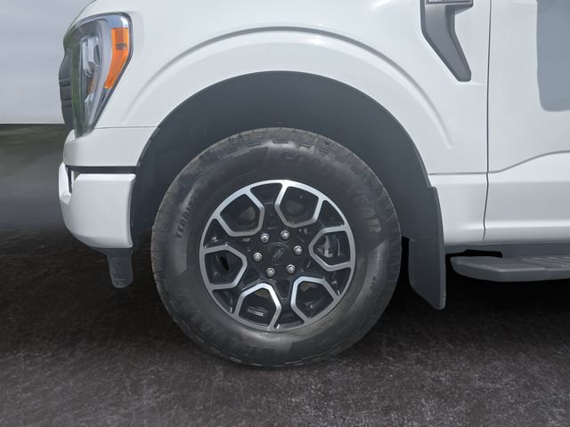 Used 2023 Ford F150 XLT w/ Equipment Group 302A High AWD/4WD image 14