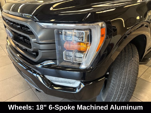 Used 2023 Ford F150 XLT w/ Equipment Group 302A High AWD/4WD image 19