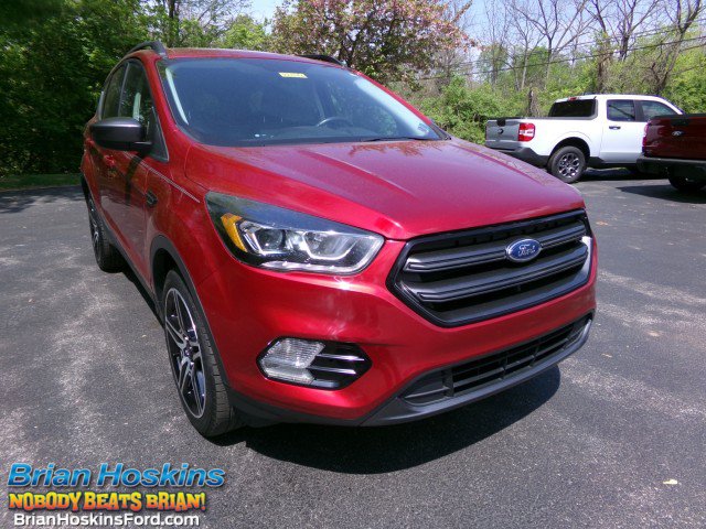 Used 2019 Ford Escape SEL AWD/4WD video 1