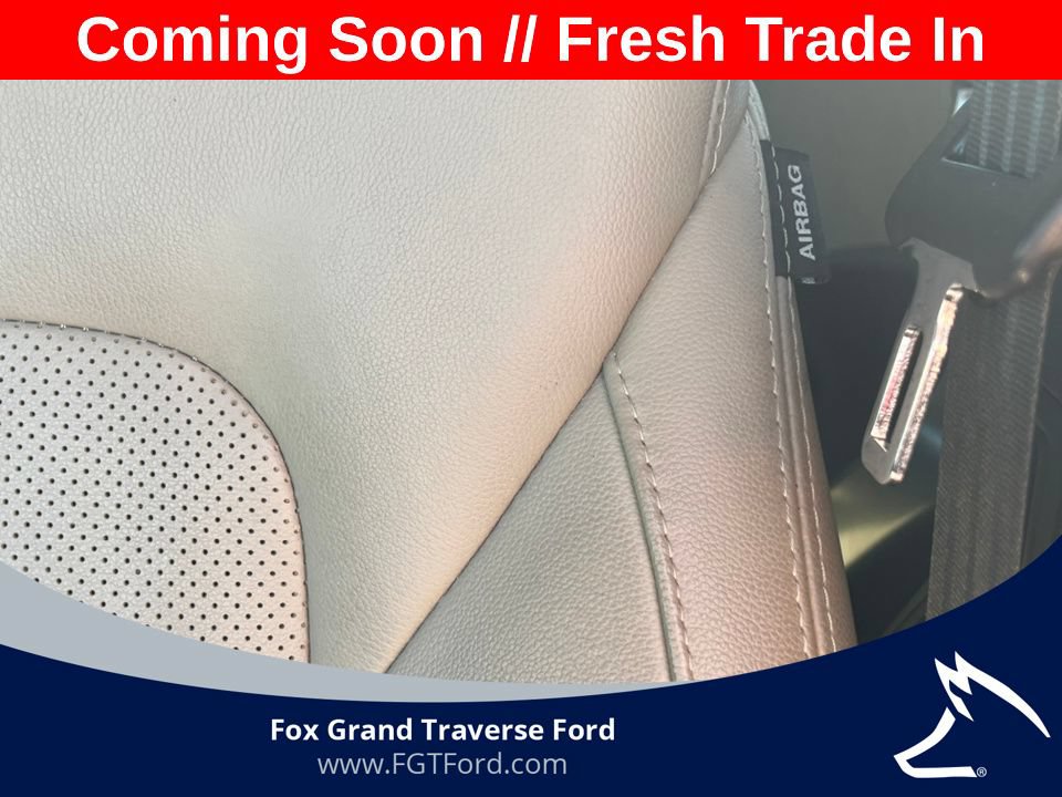 Used 2018 Hyundai Santa Fe AWD w/ SE Ultimate Tech Package 03 image 13