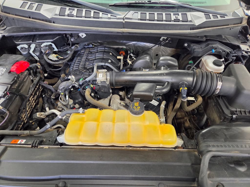 Used 2019 Ford F150 XL w/ Equipment Group 101A Mid AWD/4WD image 40