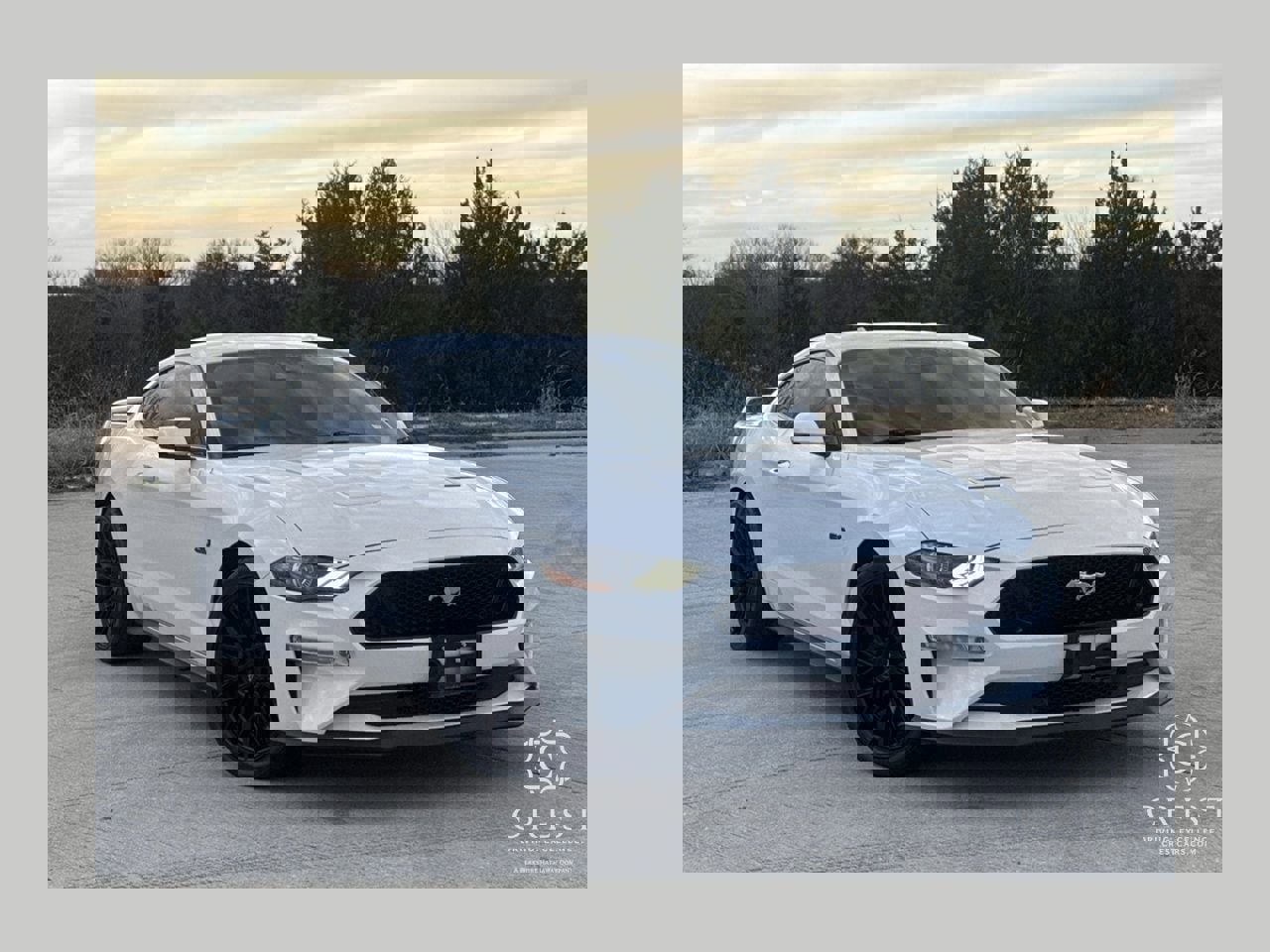 Used 2021 Ford Mustang GT Premium w/ GT Performance Package image 1