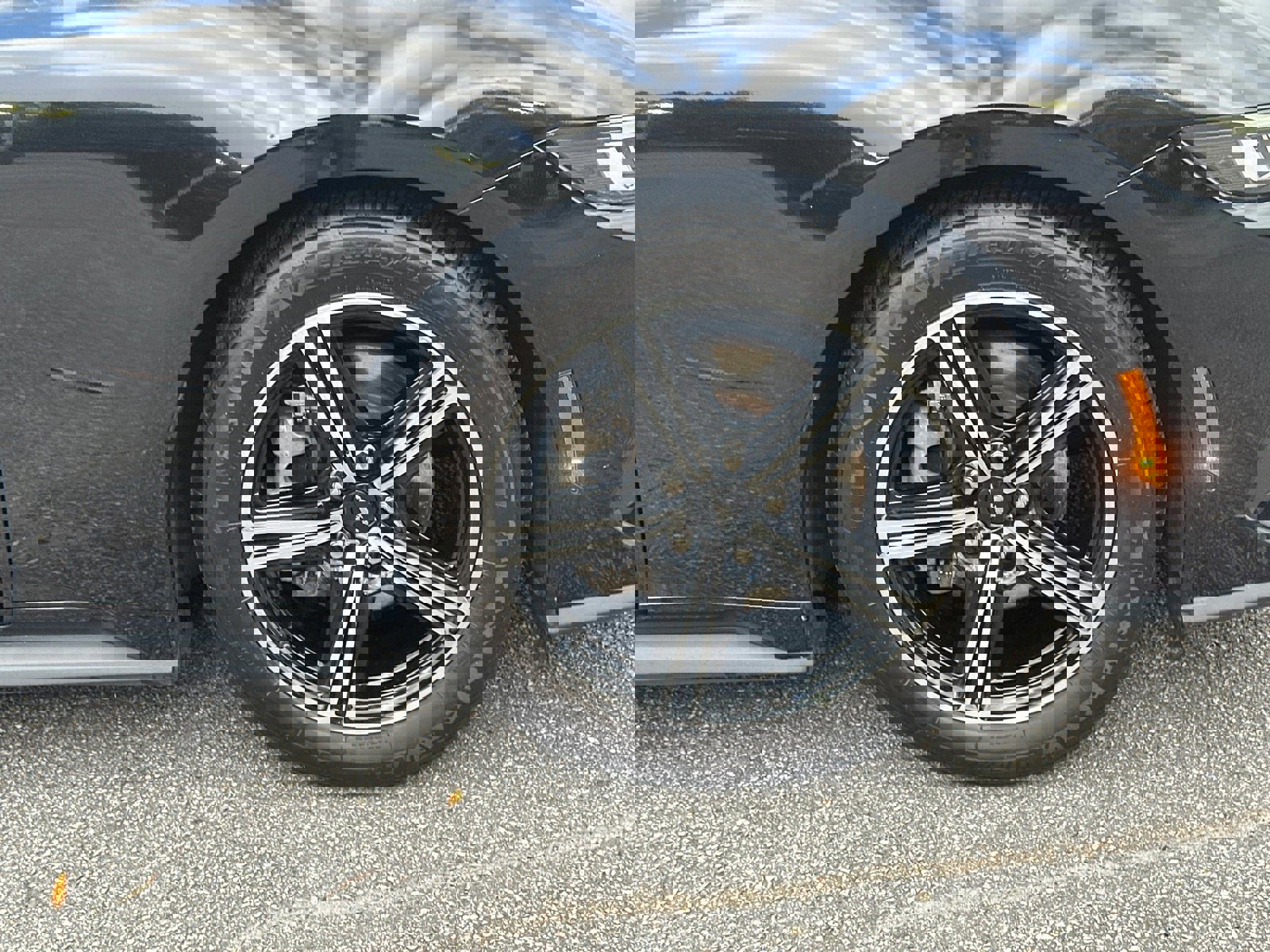 Used 2024 Ford Mustang Premium image 12