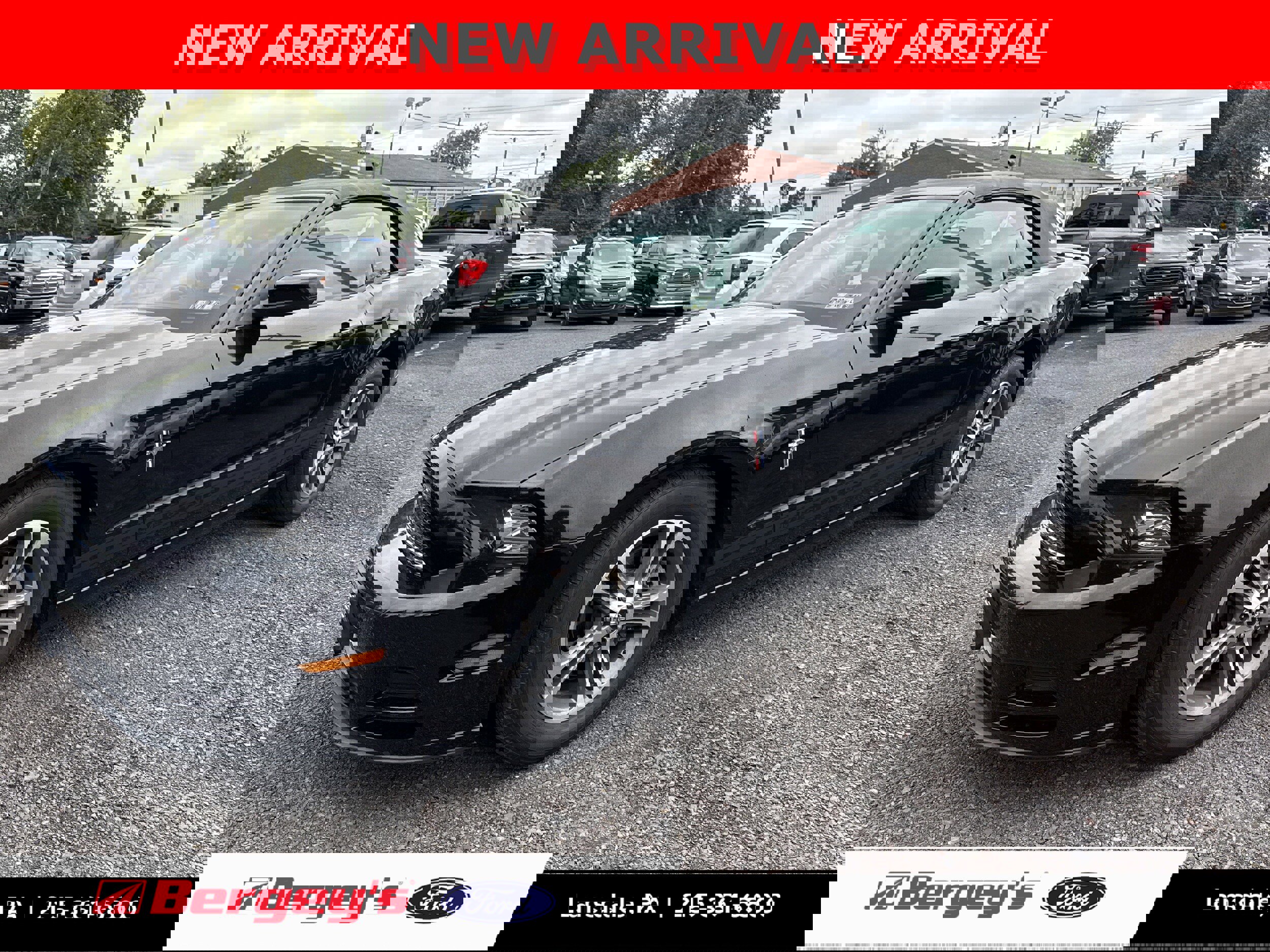 Used 2014 Ford Mustang Premium w/ Comfort Package