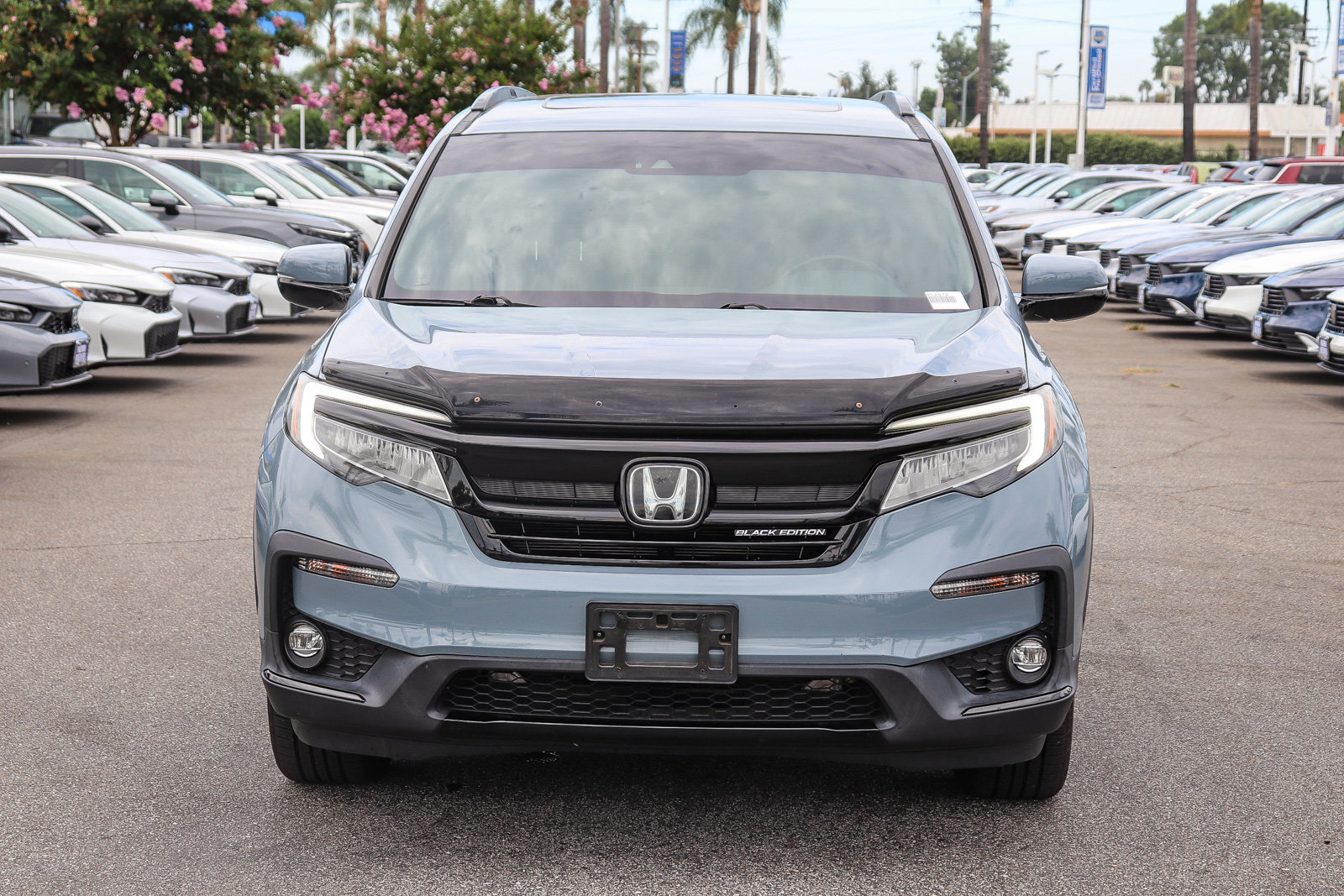 Used 2022 Honda Pilot Black Edition image 2