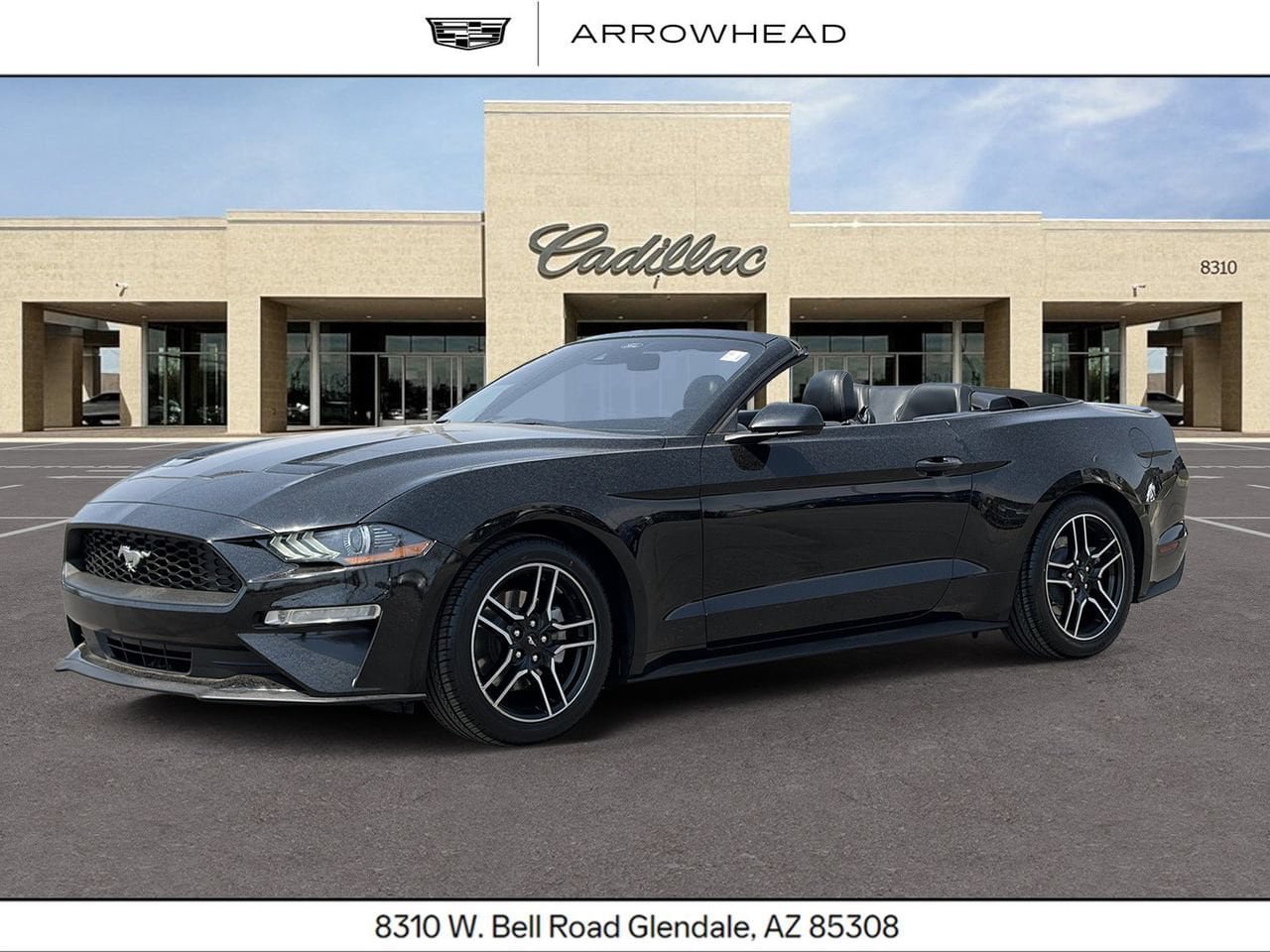 Used 2021 Ford Mustang Premium RWD image 1