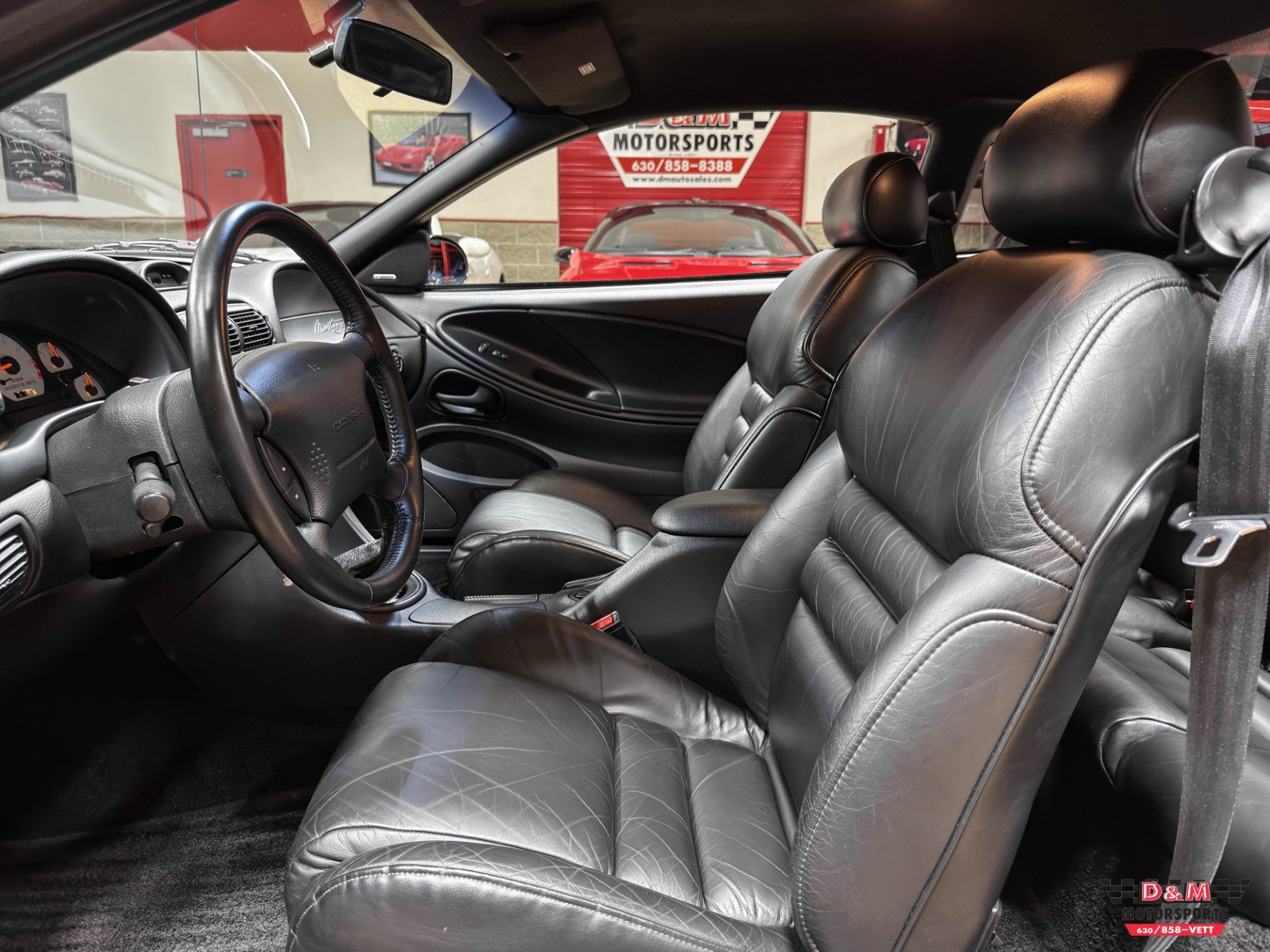 Used 1996 Ford Mustang Cobra RWD image 13