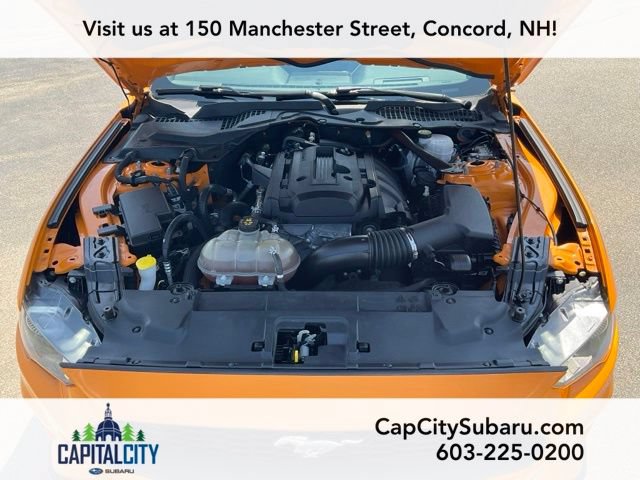 Used 2019 Ford Mustang Premium w/ Equipment Group 201A RWD image 35