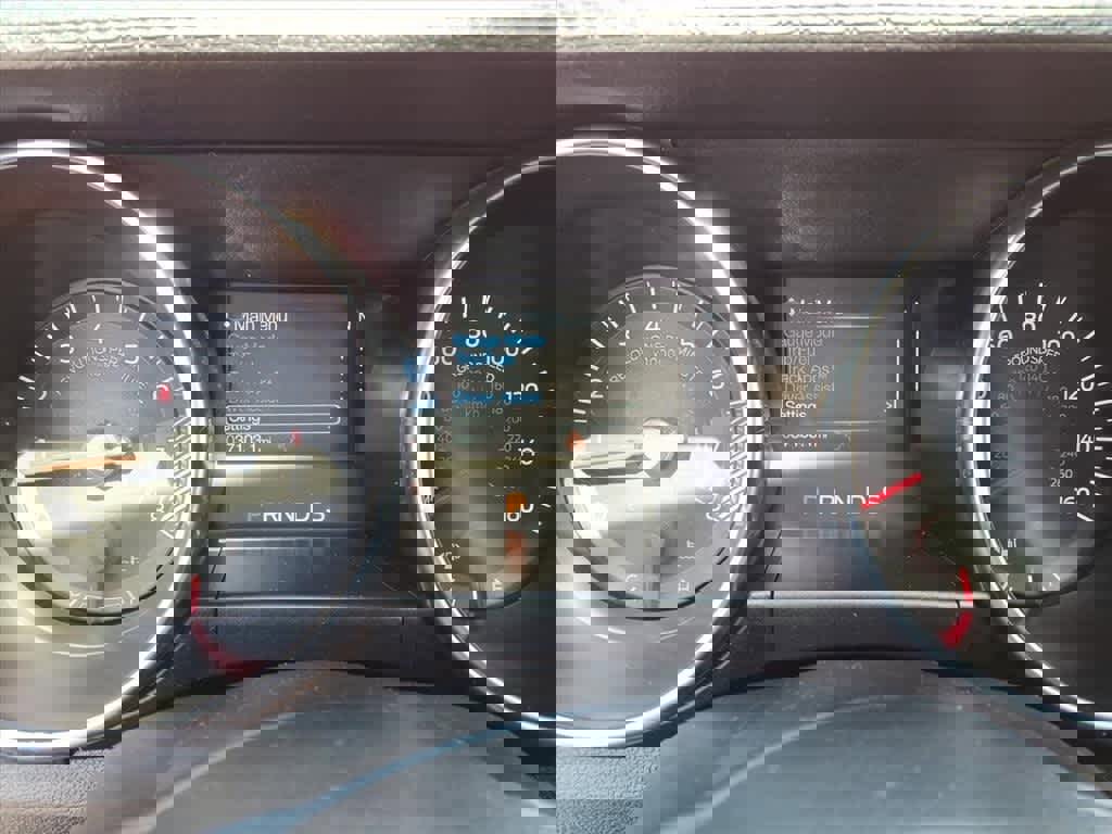 Used 2021 Ford Mustang EcoBoost w/ Equipment Group 101A image 19