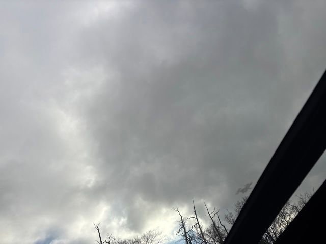 Certified 2024 Lincoln Navigator Reserve AWD/4WD image 17