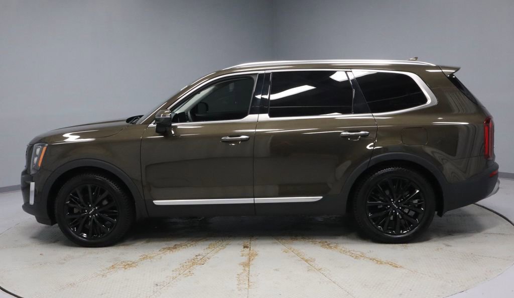 Used 2022 Kia Telluride SX w/ SX Prestige Package image 8