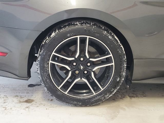 Used 2019 Ford Mustang Premium image 5