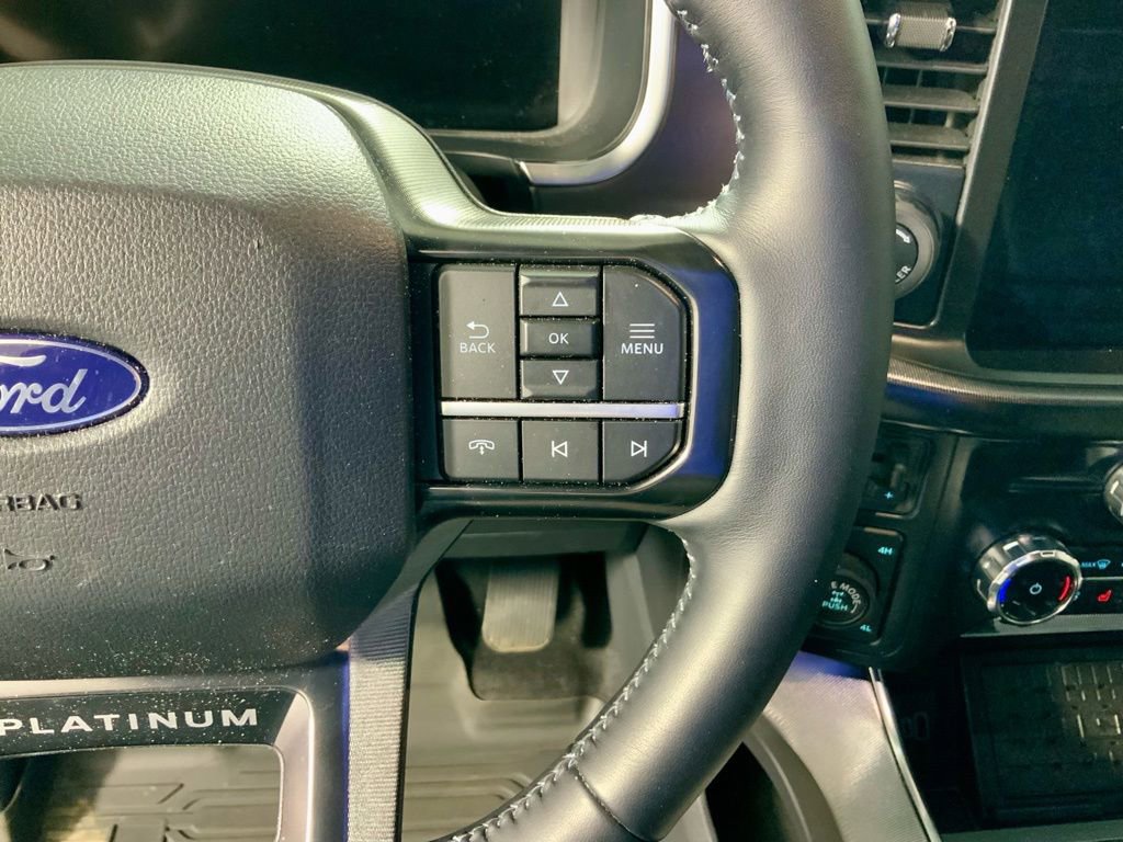 Used 2025 Ford F150 Platinum image 28