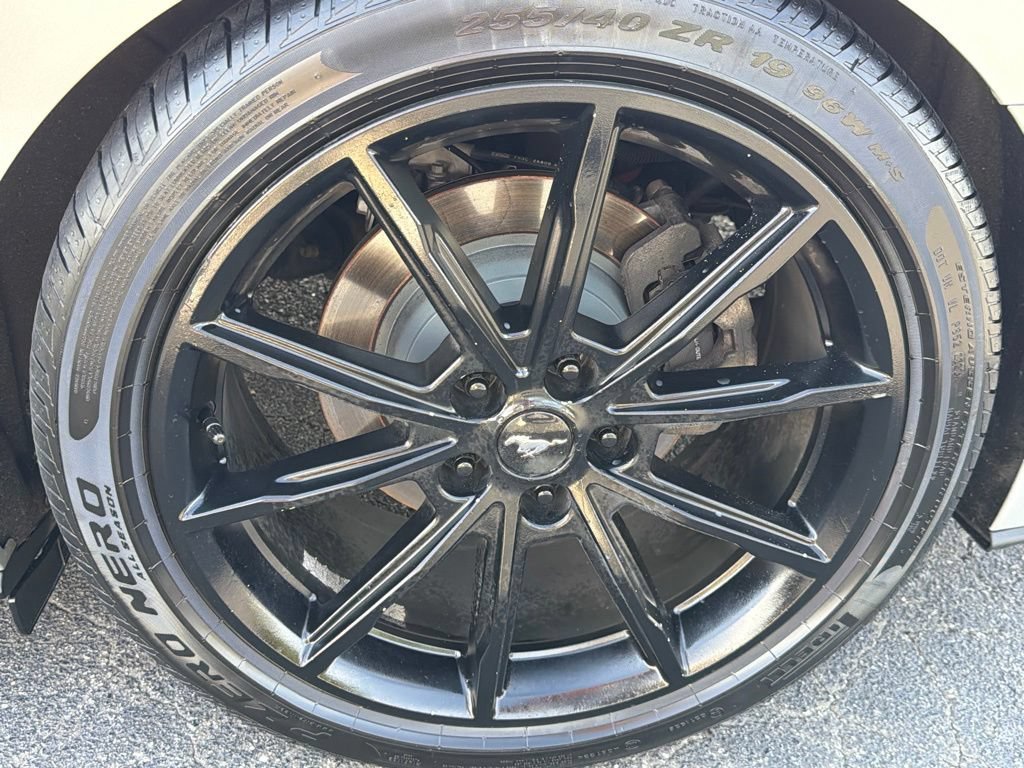 Used 2019 Ford Mustang Premium w/ Equipment Group 201A RWD image 19