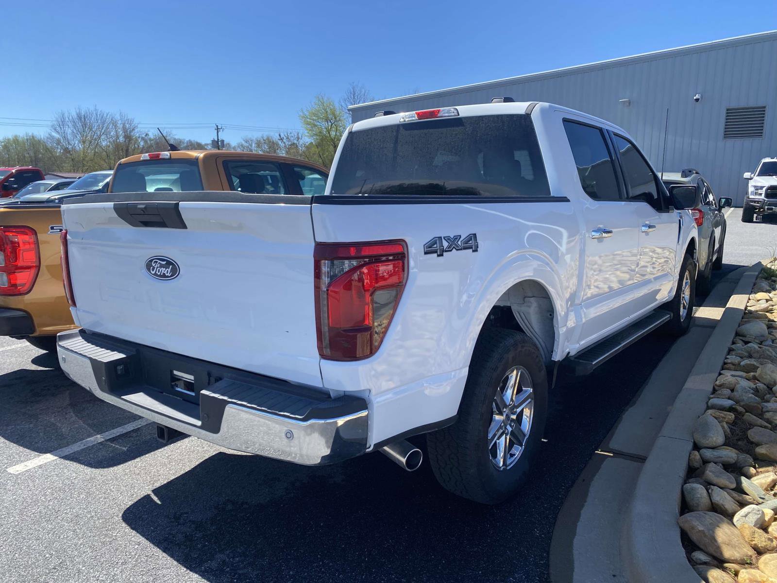 Used 2025 Ford F150 XLT w/ Equipment Group 301A Standard AWD/4WD image 9