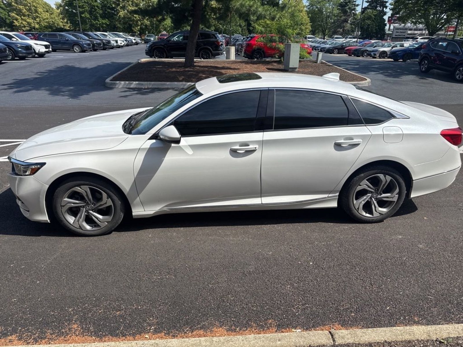 Used 2019 Honda Accord EX image 4