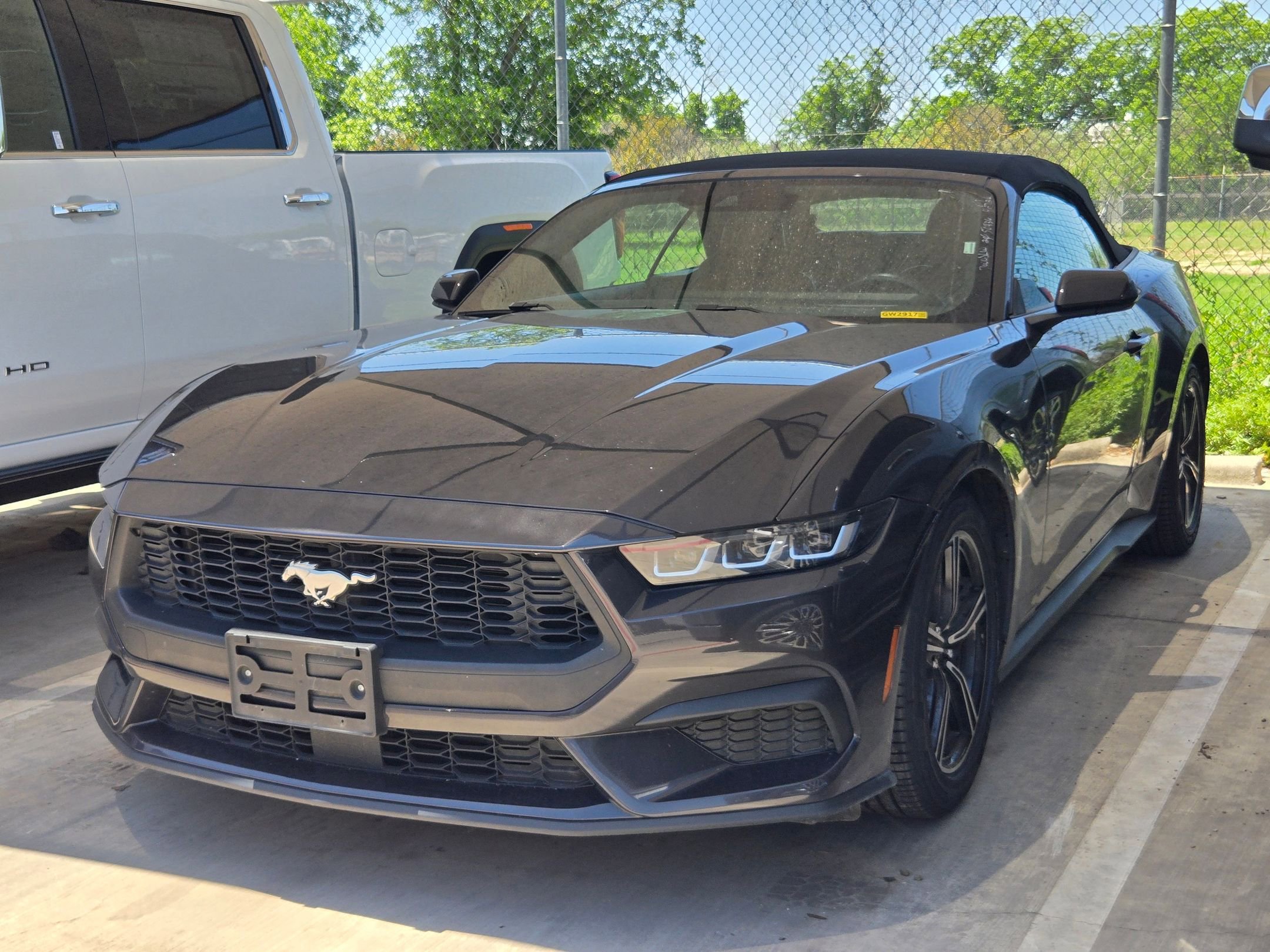 Used 2024 Ford Mustang Premium RWD image 4