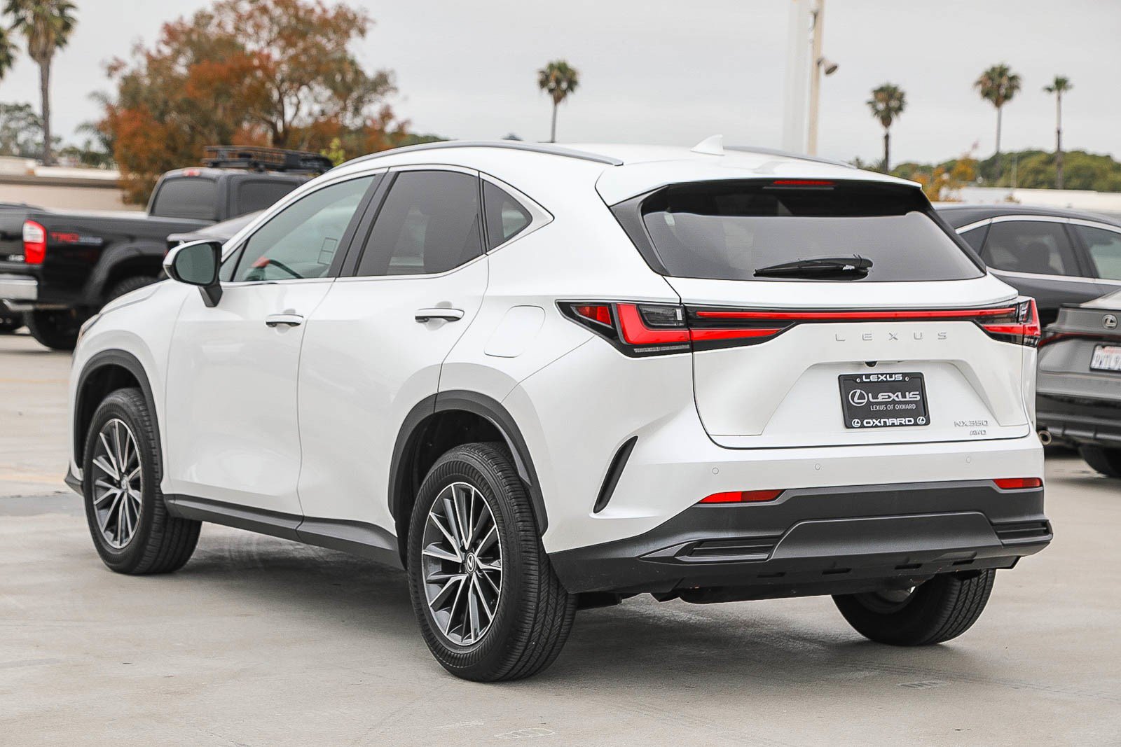 Used 2024 Lexus NX 350 AWD image 5