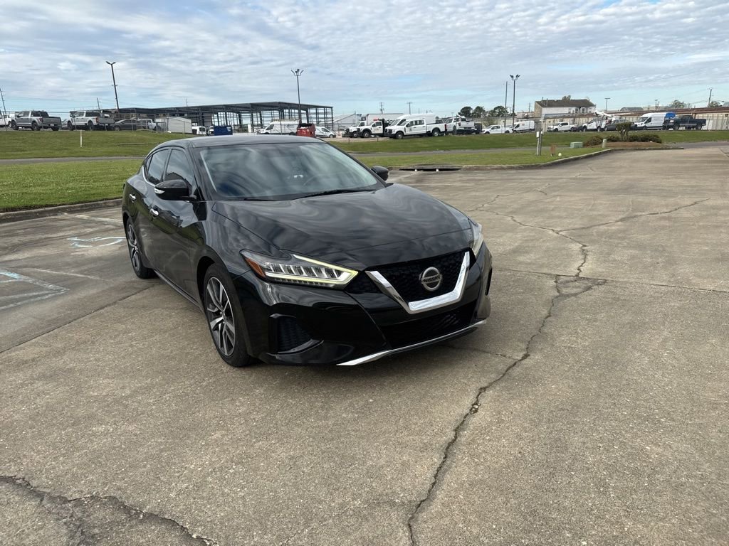 Used 2019 Nissan Maxima 3.5 SV w/ Floor Mat Group image 2