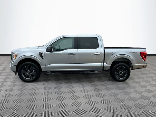 Used 2023 Ford F150 XLT w/ Equipment Group 302A High image 8