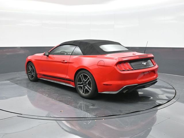 Used 2019 Ford Mustang Premium RWD image 8