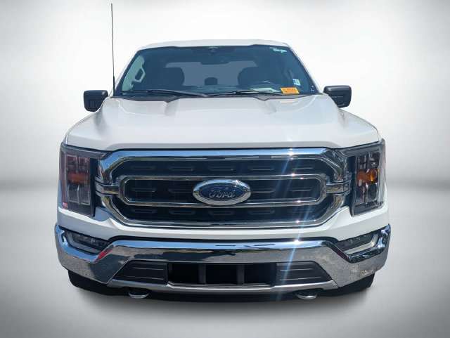Used 2021 Ford F150 XLT w/ Equipment Group 302A High AWD/4WD image 9