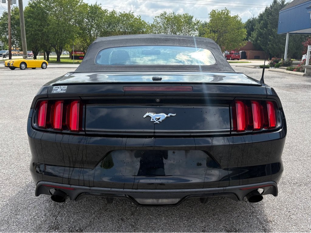 Used 2017 Ford Mustang Premium RWD image 6