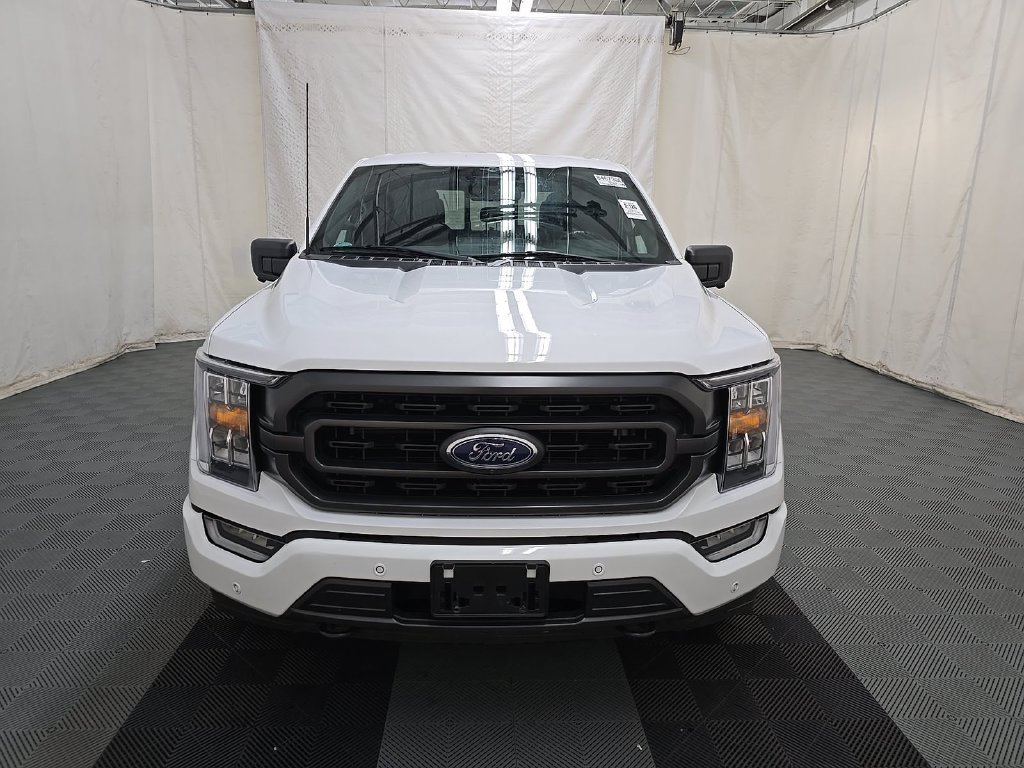 Used 2023 Ford F150 XLT w/ Equipment Group 302A High AWD/4WD image 6