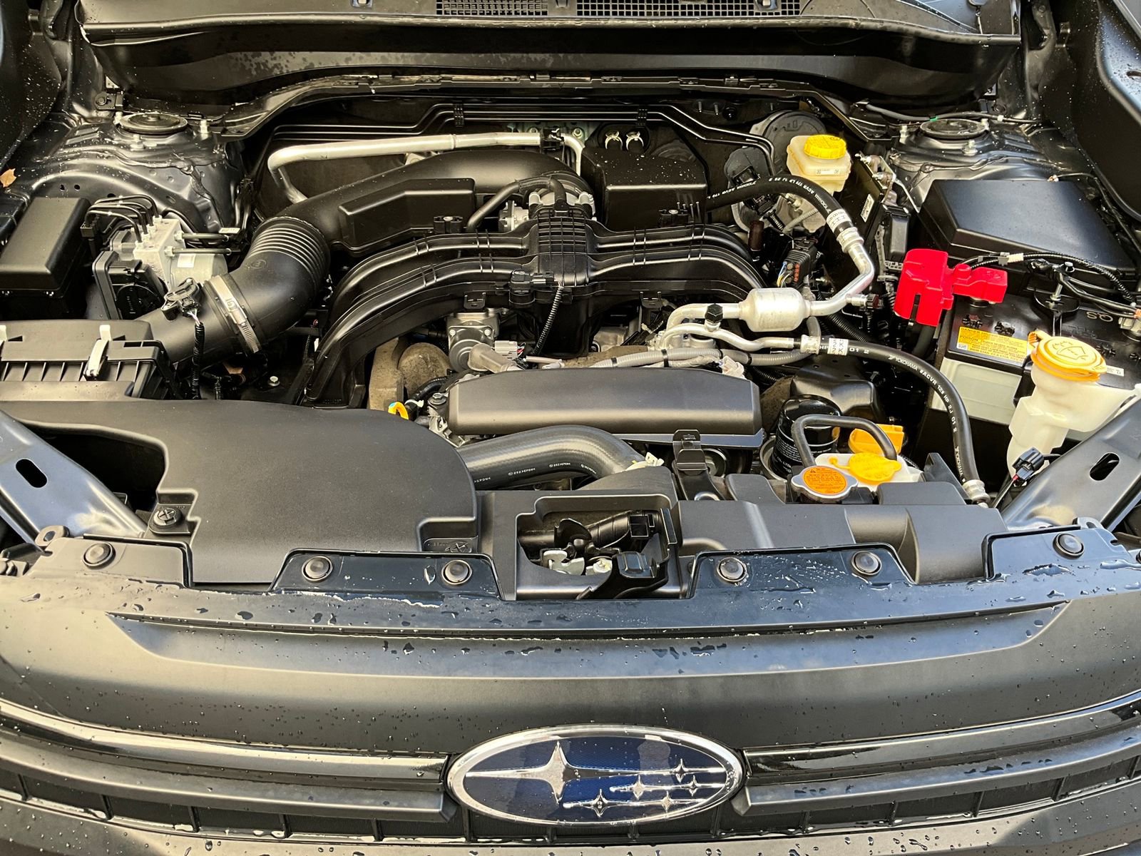 Certified 2025 Subaru Forester image 26