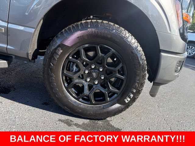 Used 2025 Ford F150 XLT w/ Equipment Group 302A MID AWD/4WD image 8
