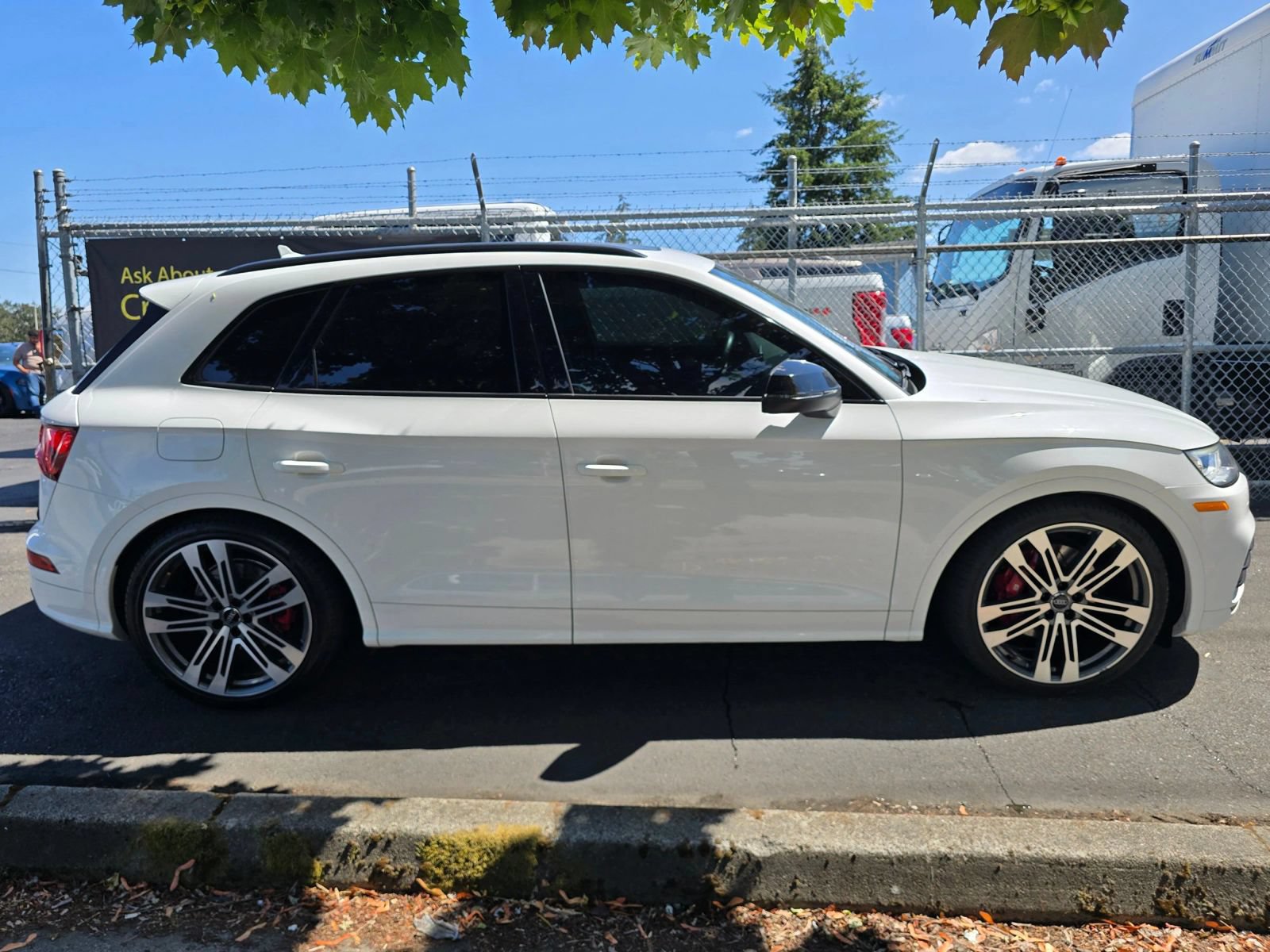 Used 2019 Audi SQ5 Premium Plus w/ Premium Plus Package AWD/4WD image 5